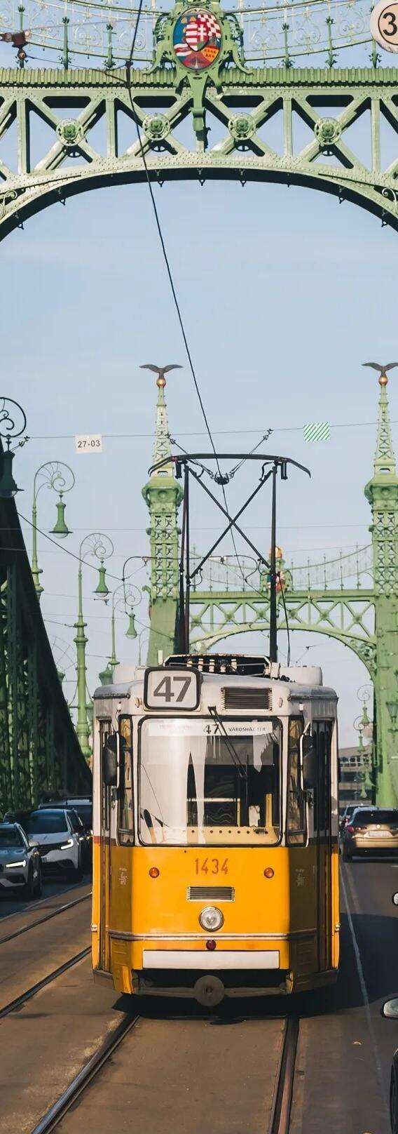 00000000cMhfVvobfCoiUJkh