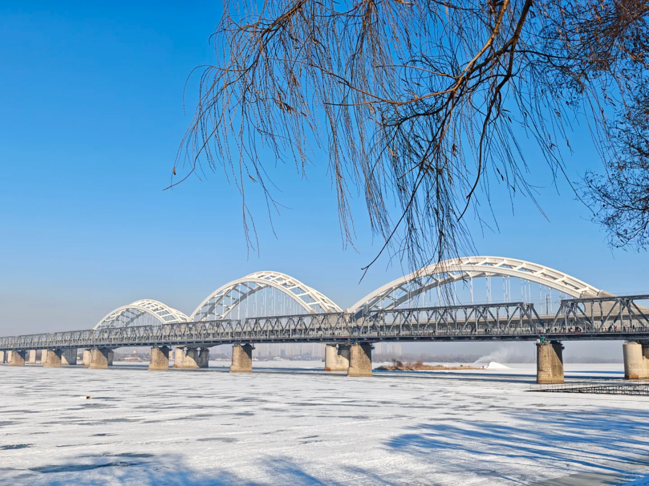 00000000csodiqePrdYLoyyS-1