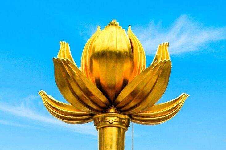 00000000djPIZfQdPPJiCFRy