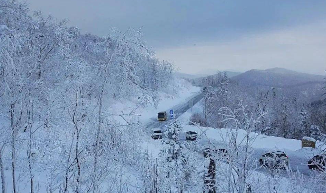 00000000eESvnWfDORpKvqVu 00000000eESvnWfDORpKvqVu