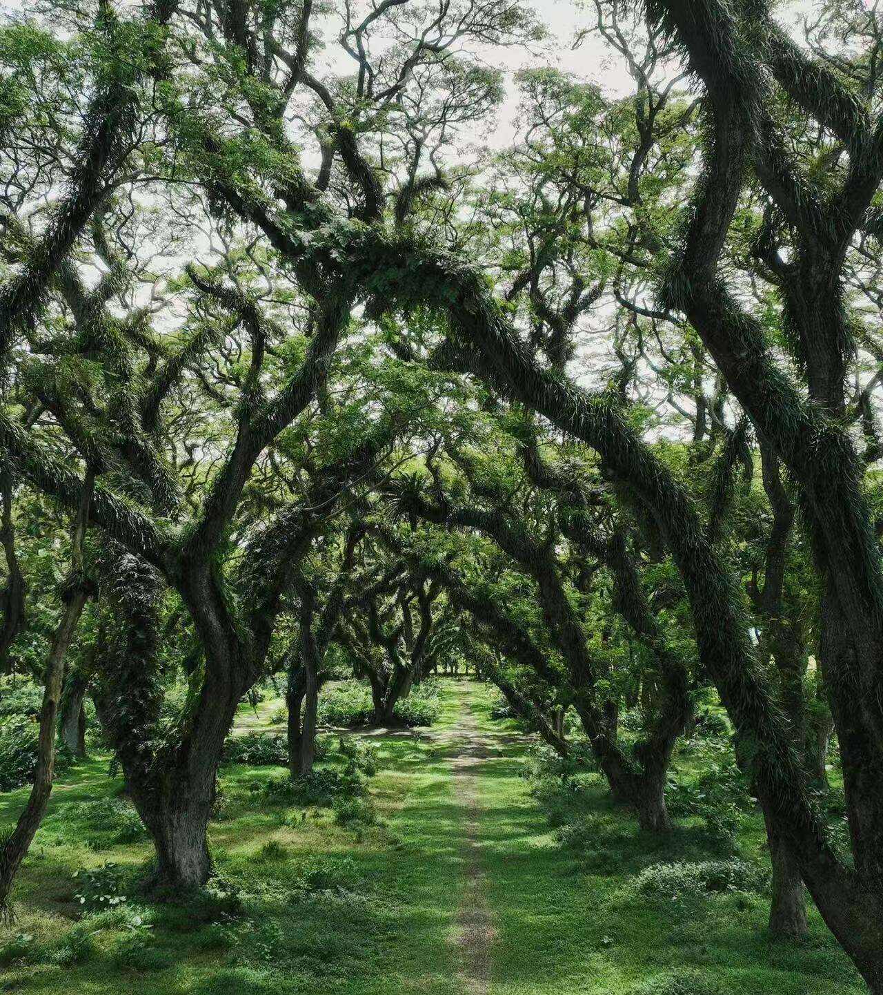 00000000epsGjQNqKuzuaNAl