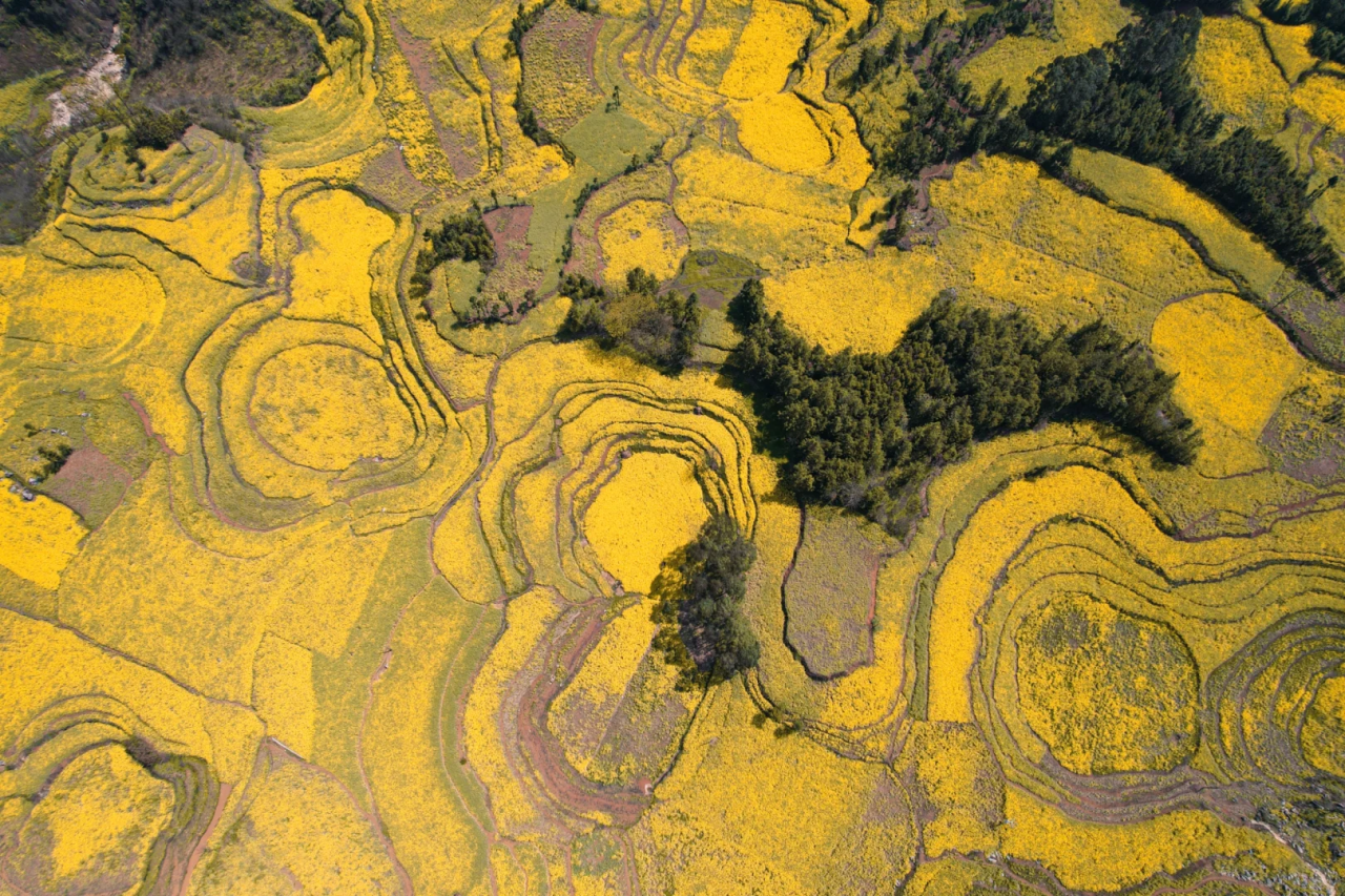 00000000fKmygSpjwIcOXULg