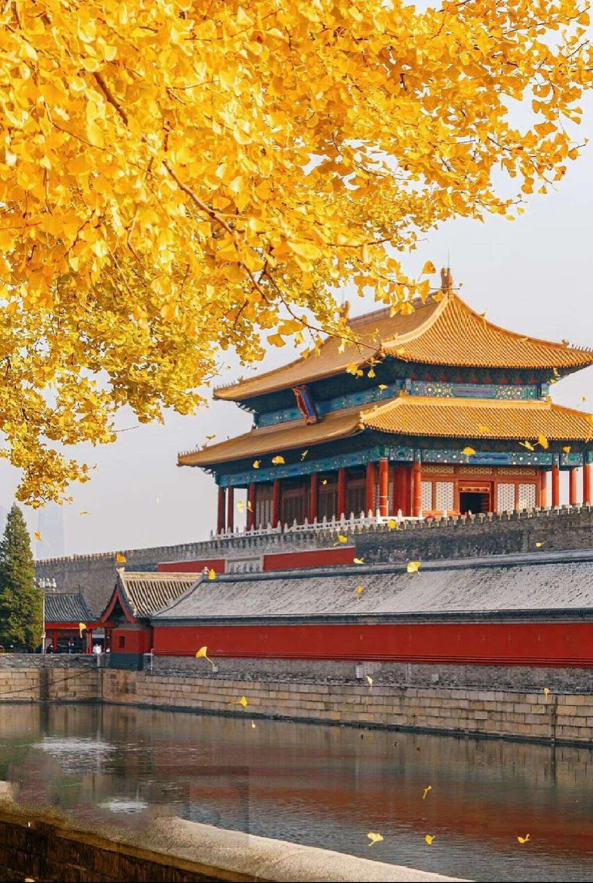 00000000fXzzjefRhzgFLhTG-1