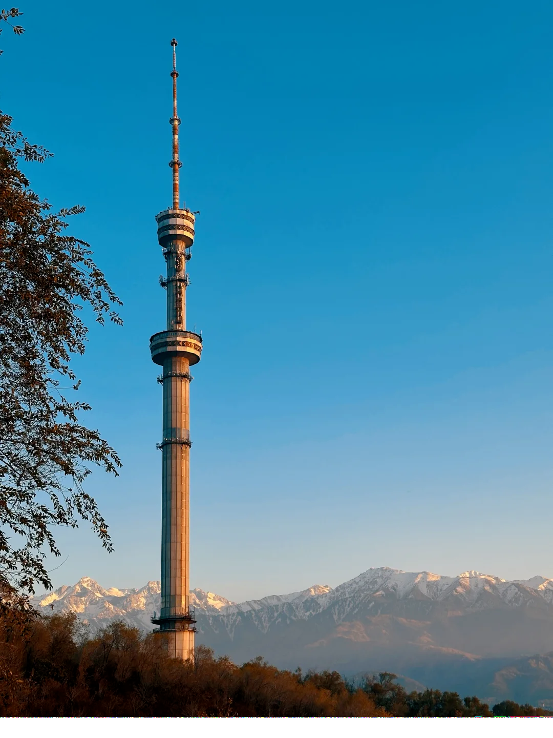 00000000fdmoGGRwASzXIzxg