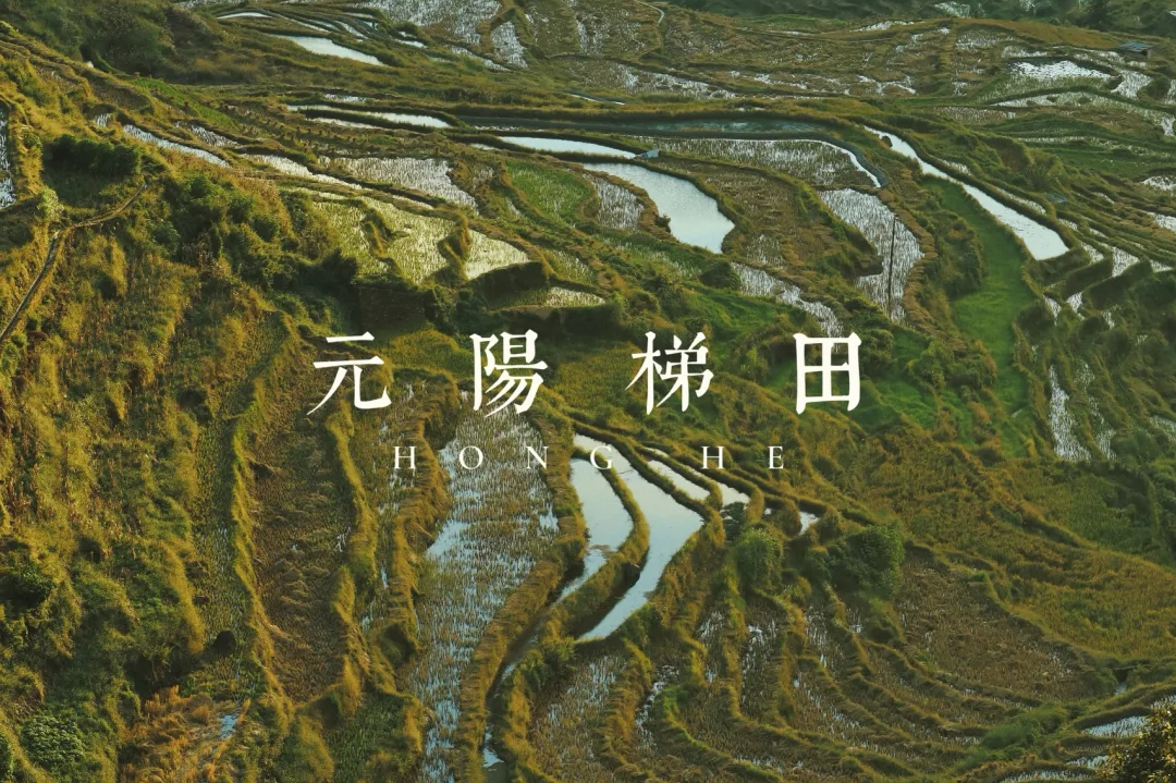 00000000gOhCEKSriHRLQsJI