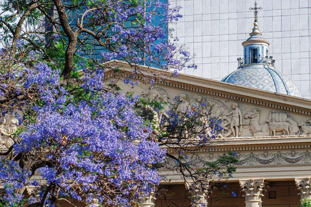 00000000gfeYldvfdCOkgxea