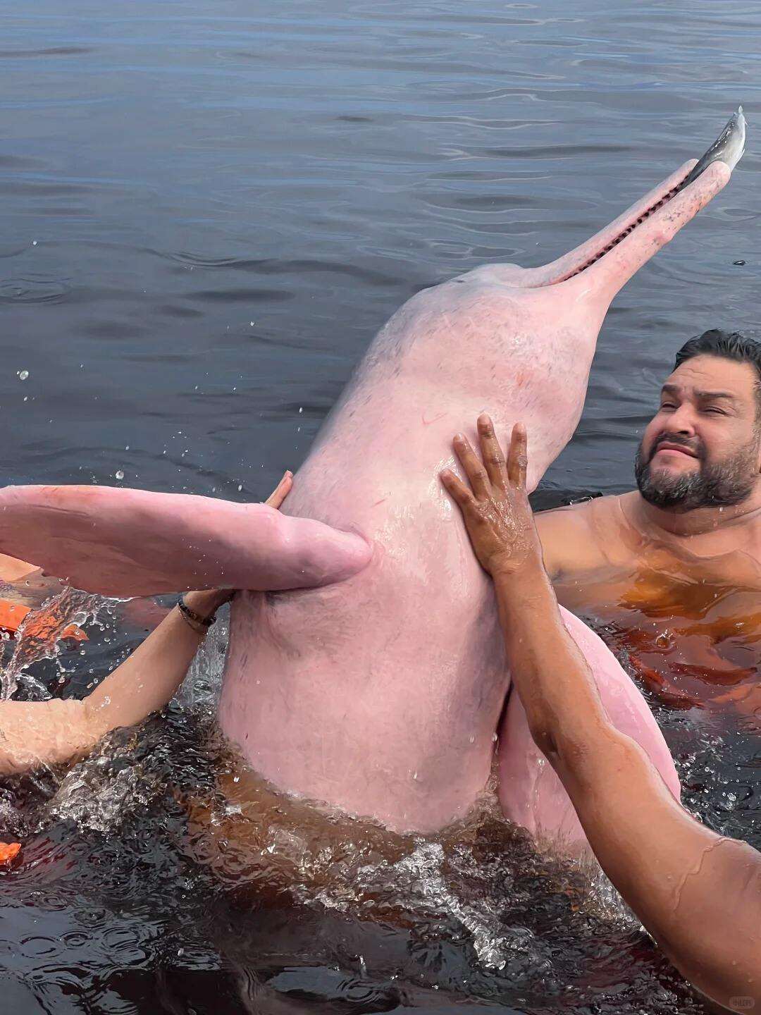 00000000ghYUbnQYkmKohada