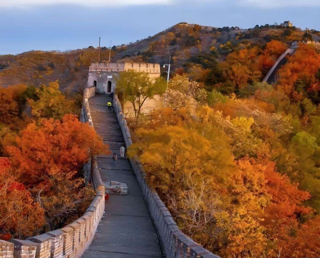 00000000grZtkrpCJmctVmyc