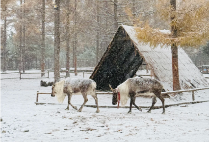 00000000gvrNItclGWgpCXGy 00000000gvrNItclGWgpCXGy