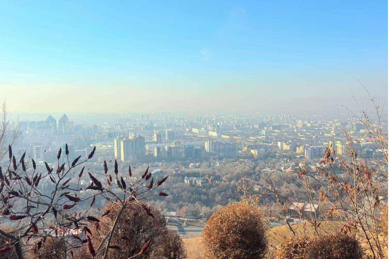 00000000hPZiRvRXRSVpMyTh