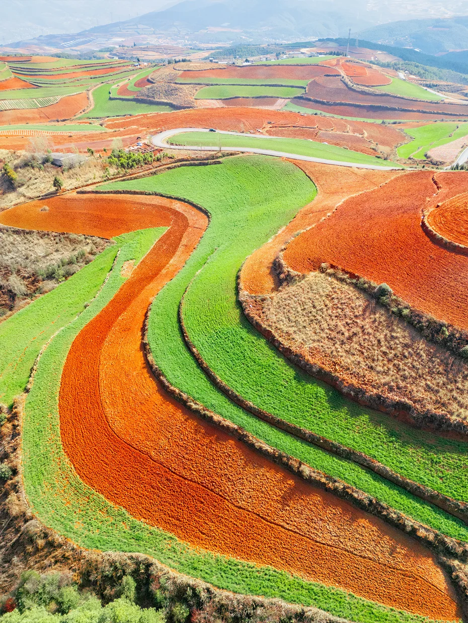 00000000hXBgZFYYdTRpOknG