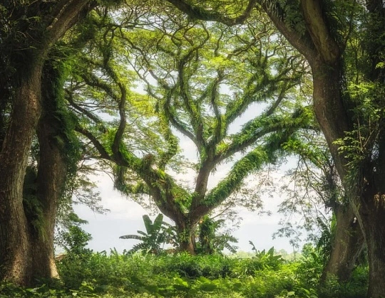 00000000haltpreXkwqSIfvJ 00000000haltpreXkwqSIfvJ