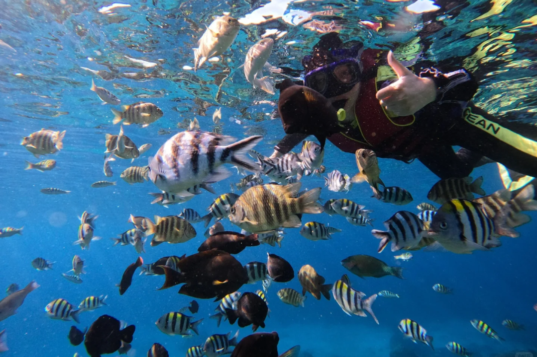 00000000hkxUwolVdeAlqyKt