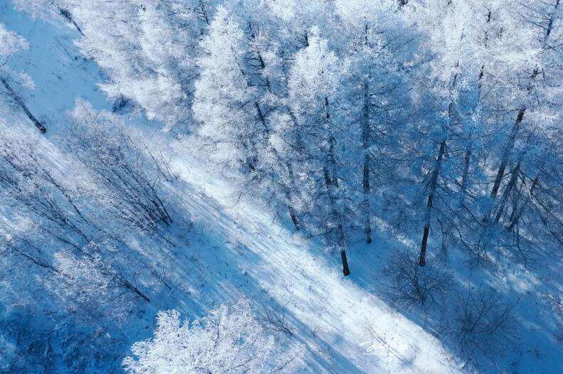 00000000hnSWbrvkhwIdaJVg