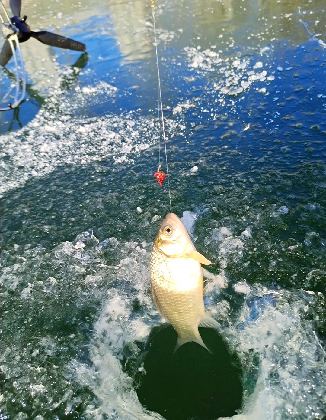 00000000hnhREQxXeIwzoFDQ 00000000hnhREQxXeIwzoFDQ