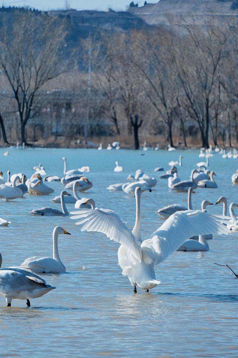 00000000hqQtLXVNOZNcKBrO