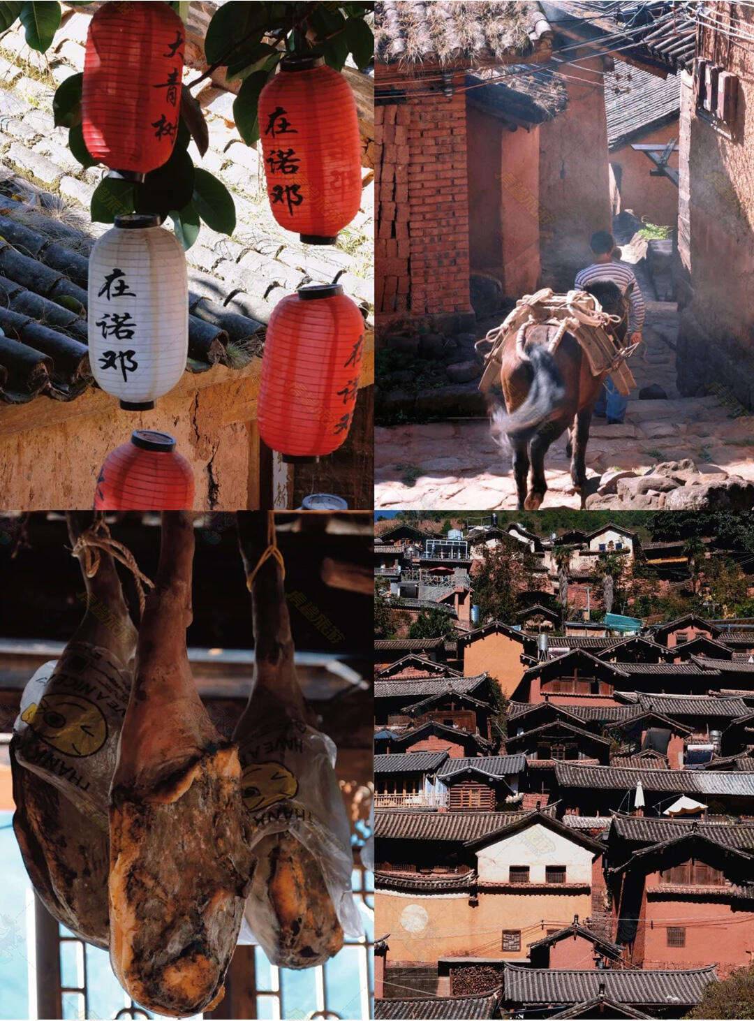 00000000hsIWkRImXeaYzzoP