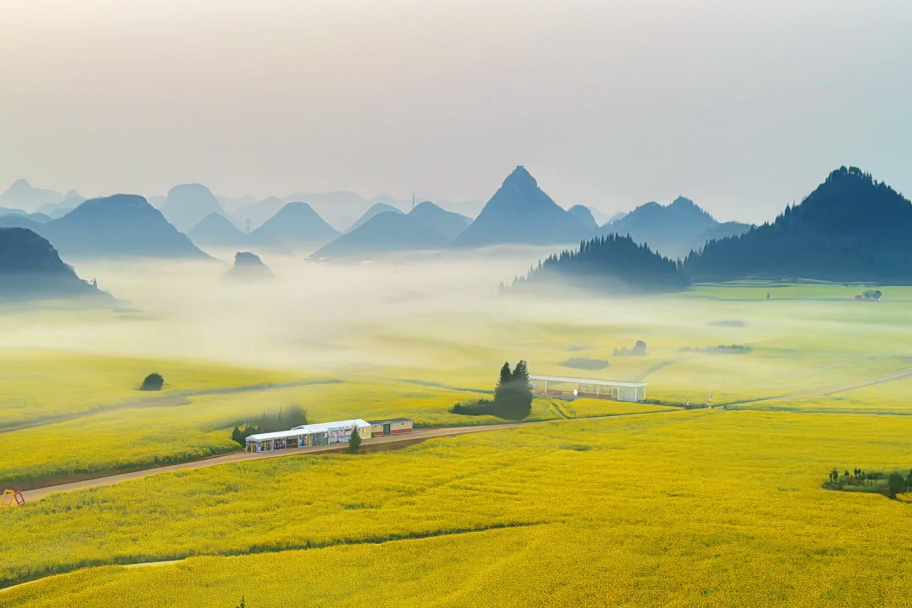 00000000iQLRgmqNHAjHJRLM