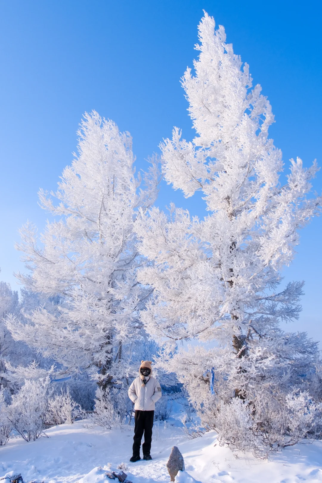 00000000iUMrjwaVfKxOtxnK 00000000iUMrjwaVfKxOtxnK