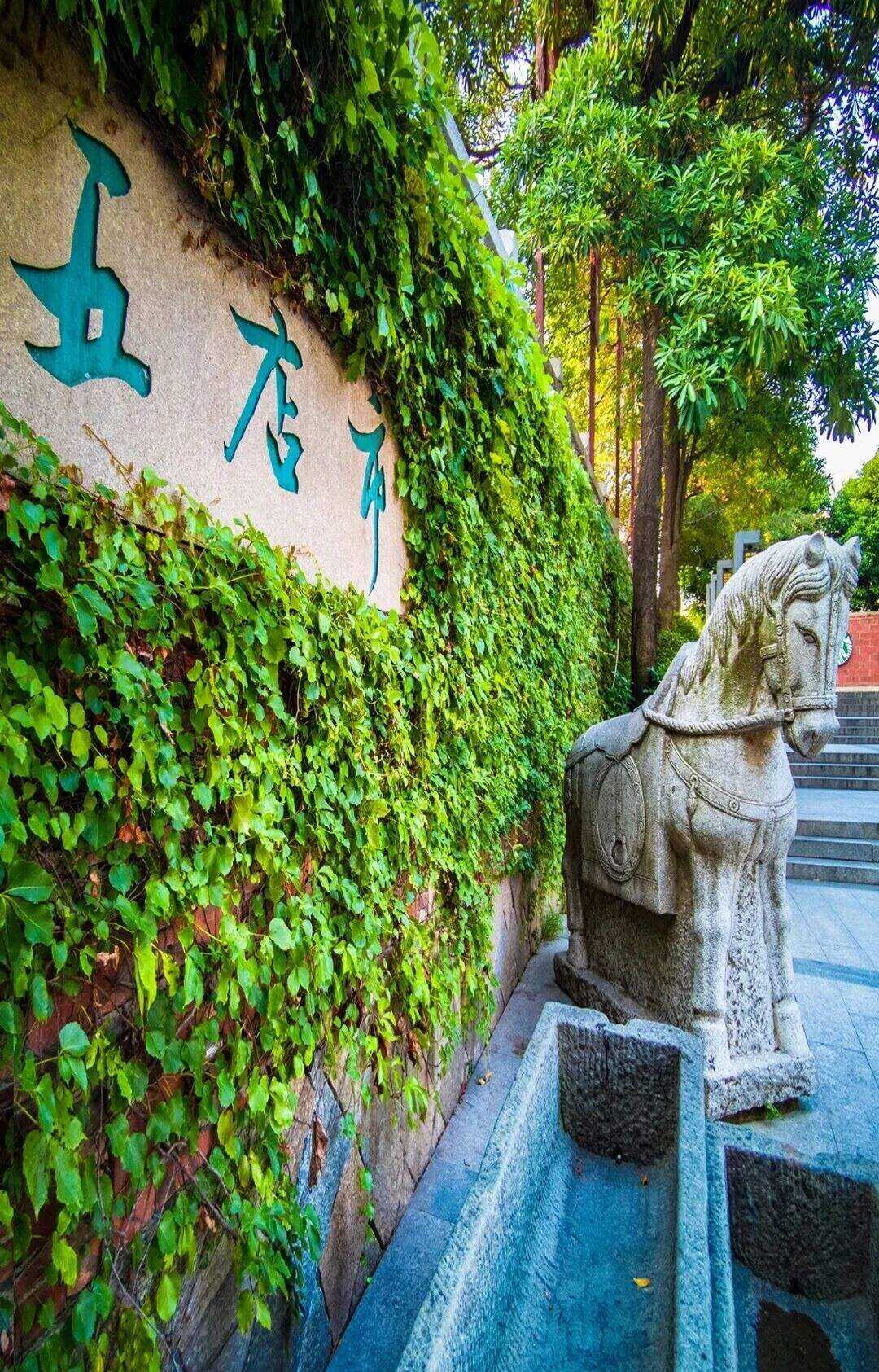 00000000iqjCdPEtIJiNsvPe