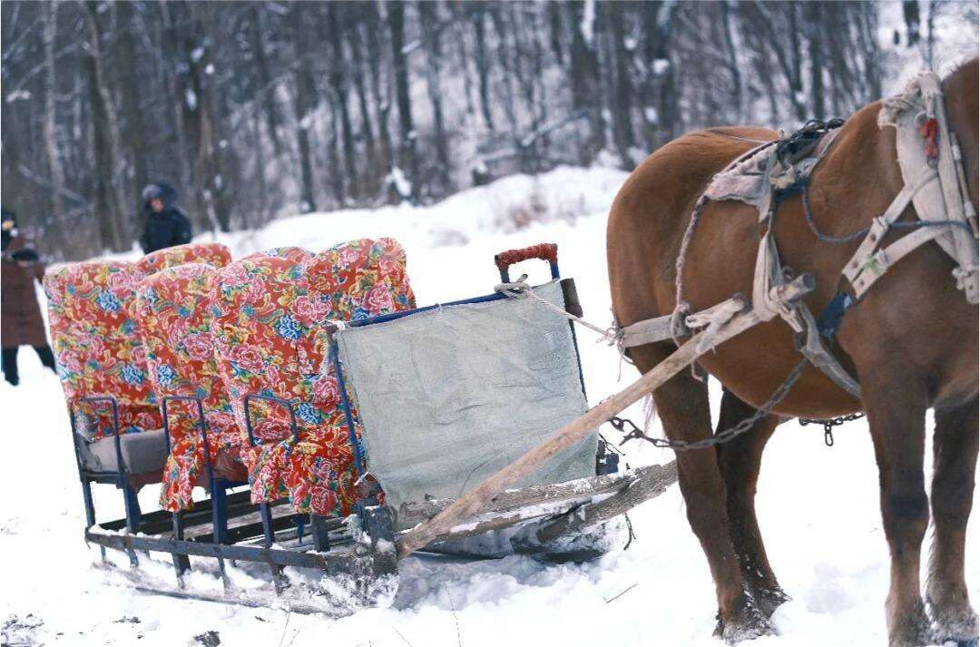 00000000ivMzGVfjfMxZQbIL