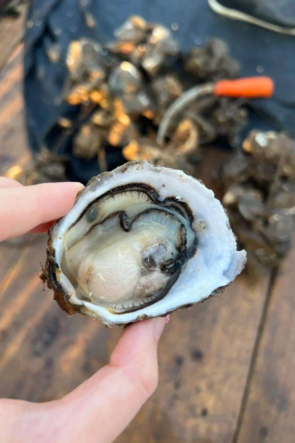 00000000jEBDOZAGYiHxbAQQ 00000000jEBDOZAGYiHxbAQQ