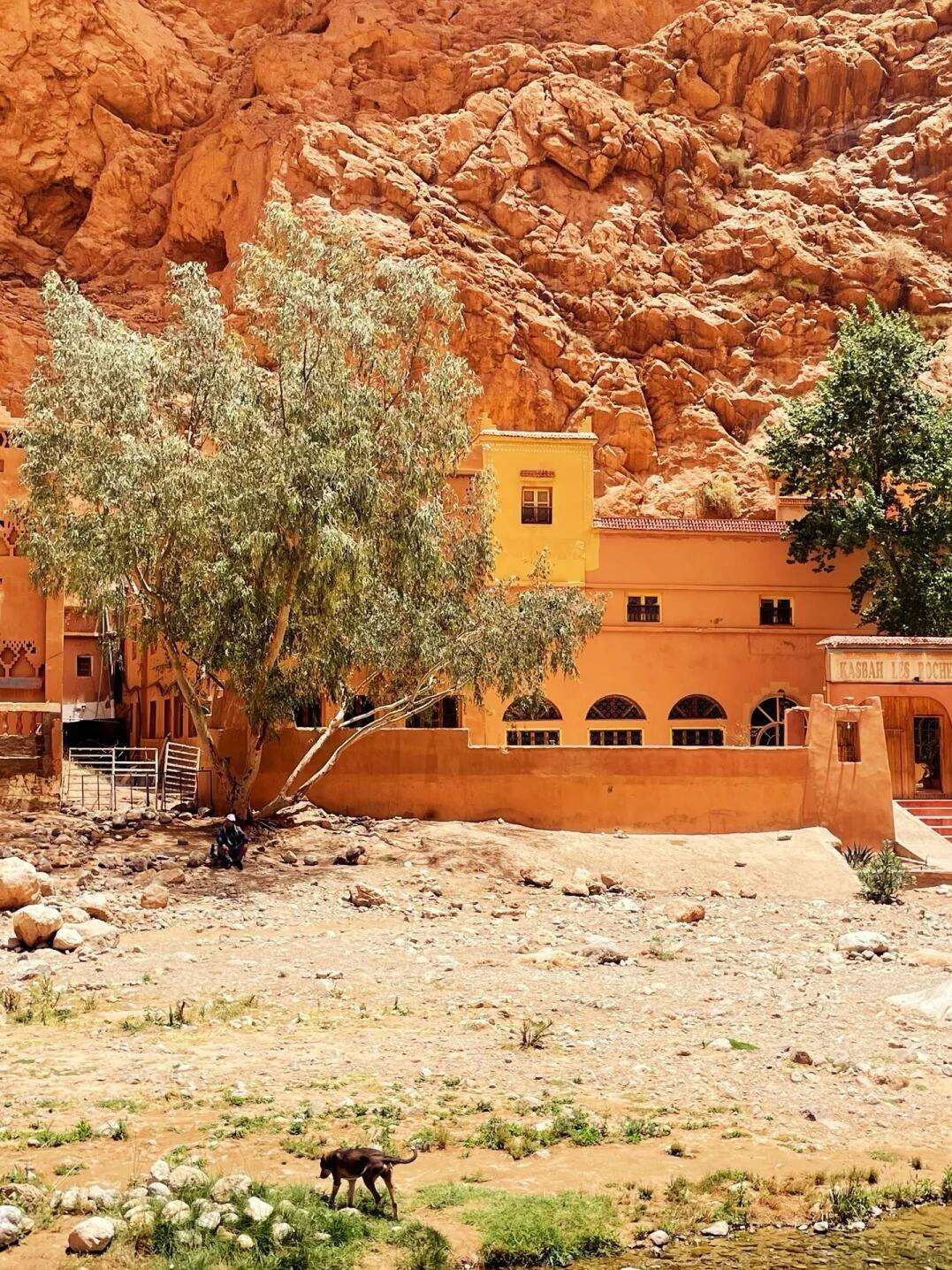 00000000jdVcfJESgofmFRIq 00000000jdVcfJESgofmFRIq