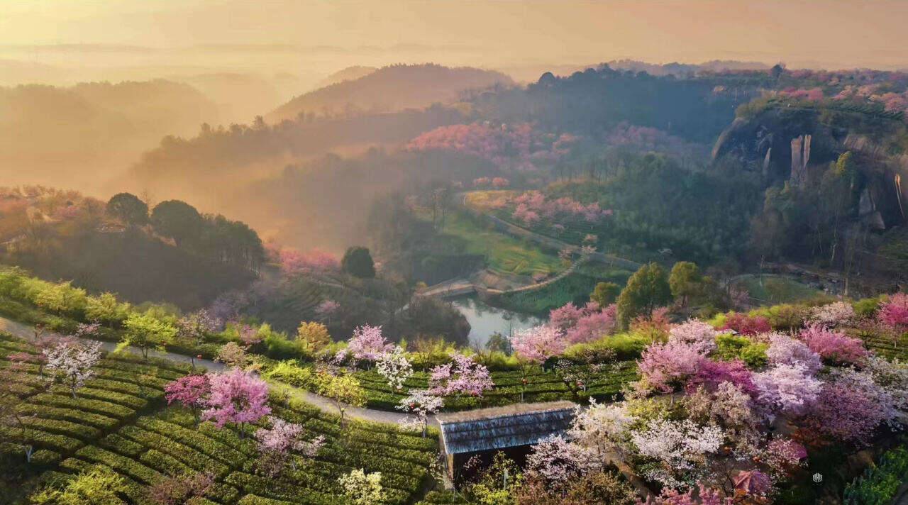 00000000jtwuipSmbDNFJAtK