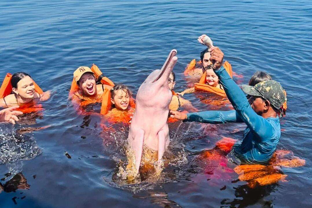 00000000kTDsqVsGmRnpZbZM