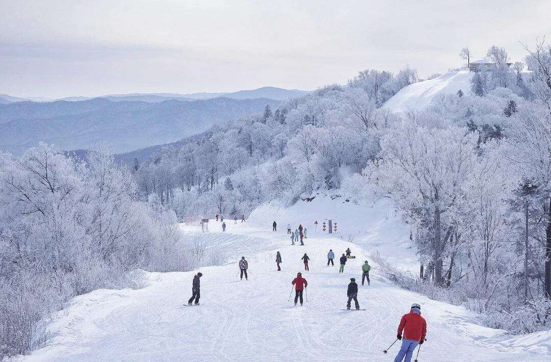 00000000lcMEGQysuBZWQjzh