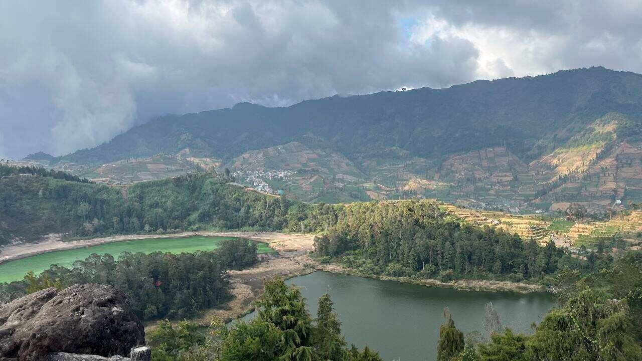 00000000mkfWVWHWldotSnxa