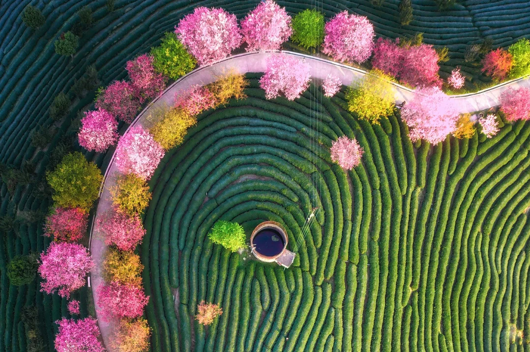 00000000oYtBexLWcadBneXe