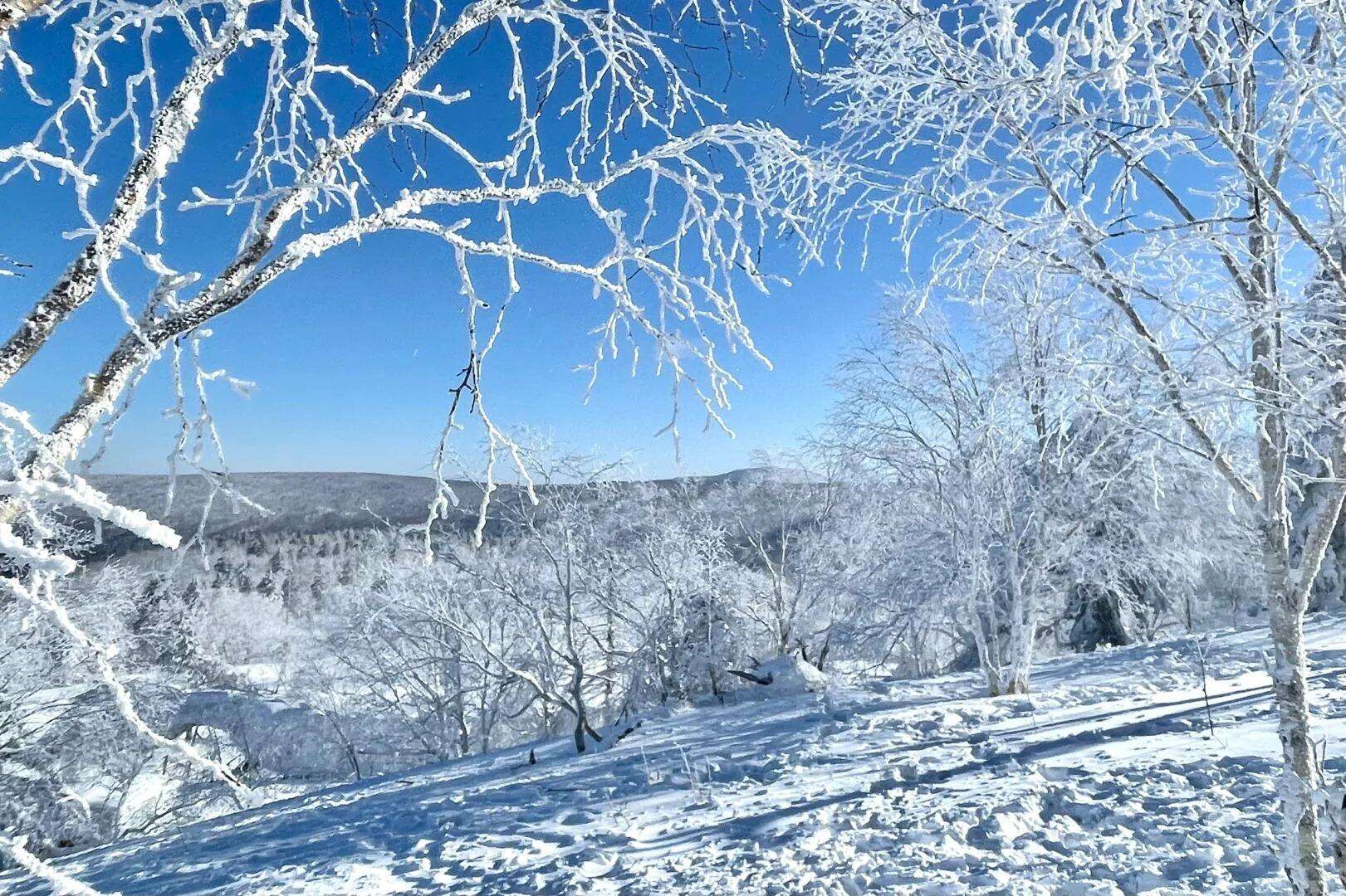 00000000olhTSwdRwpUAKUGL