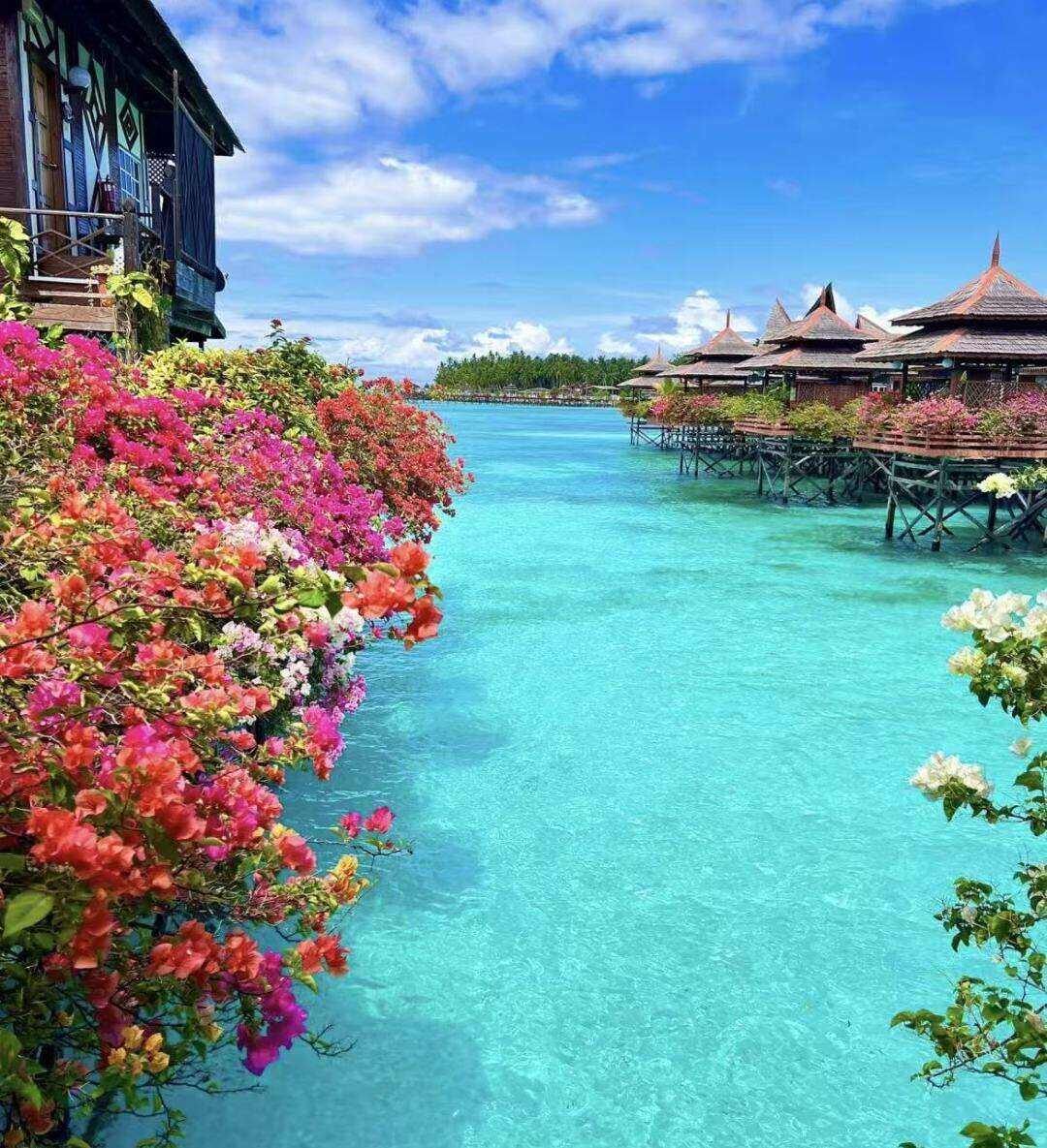 00000000pRJaGJFsjDcUZtAI 00000000pRJaGJFsjDcUZtAI