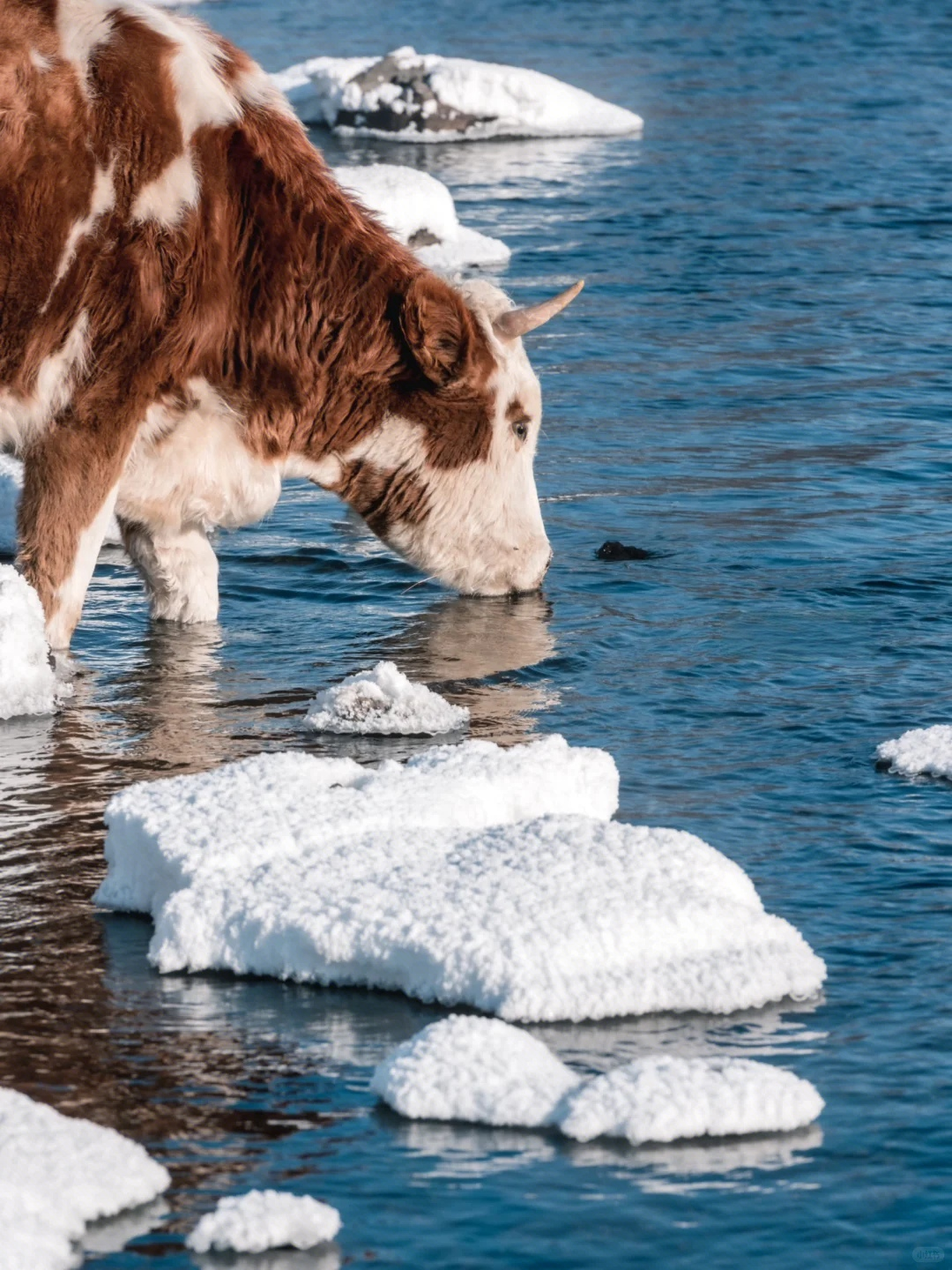 00000000paVuRkecbPAhMHwj 00000000paVuRkecbPAhMHwj