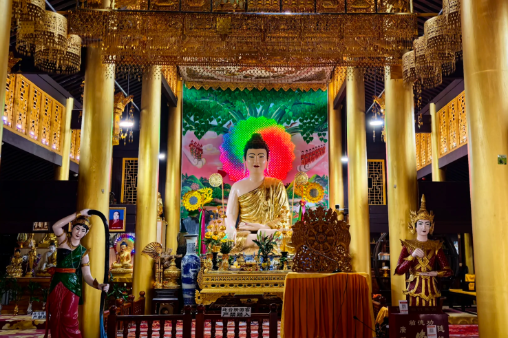 00000000peYkOAvagdMzoidP