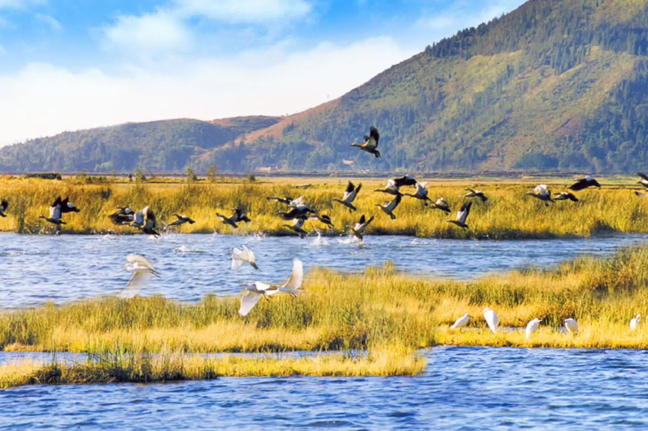 00000000plutjgPezXiXgmXL