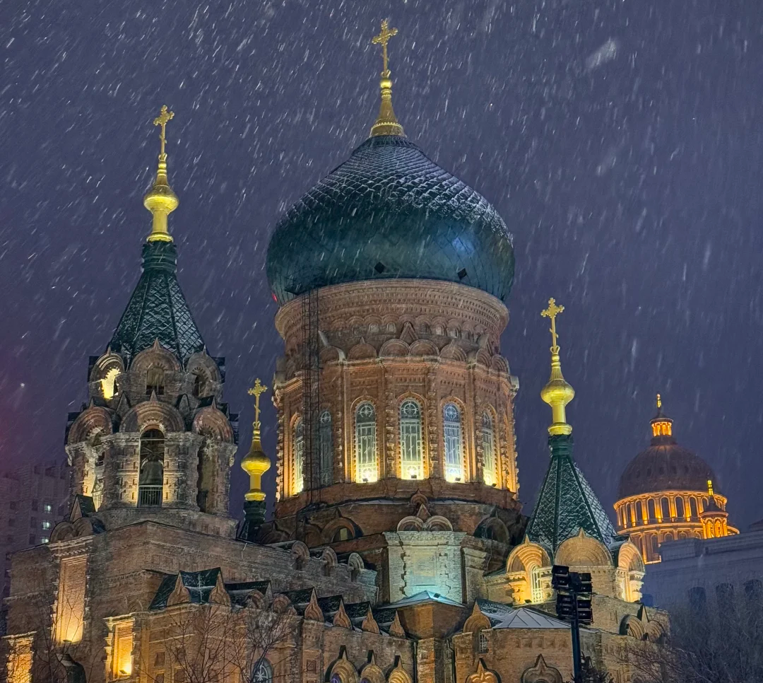 00000000qJhmhsGfineSfDya