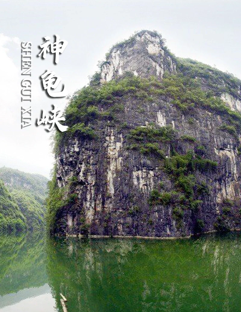 00000000qOwHhSvfycVIWnLe