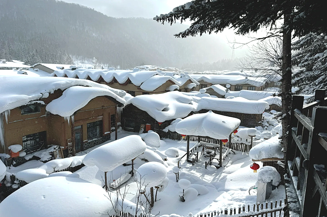 00000000rEwWOHDJWnoHCZQk