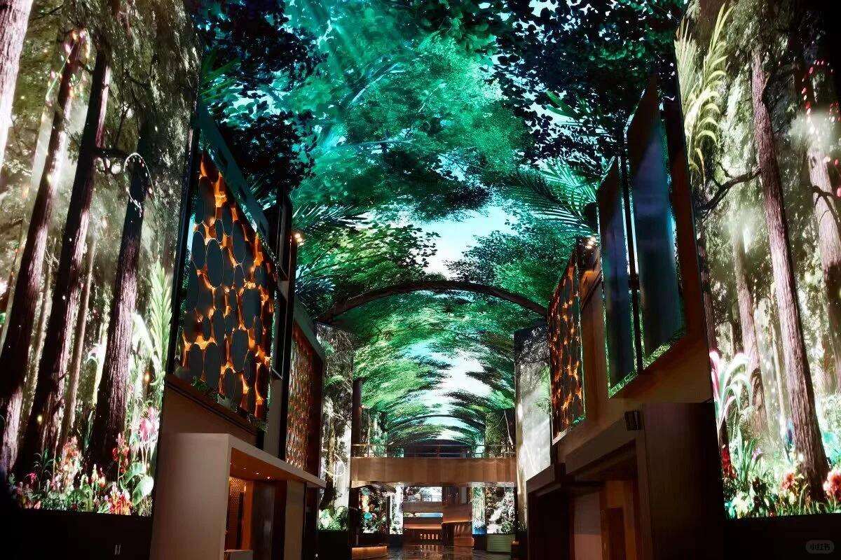 00000000rQvgxosoWzCjtpBj 00000000rQvgxosoWzCjtpBj