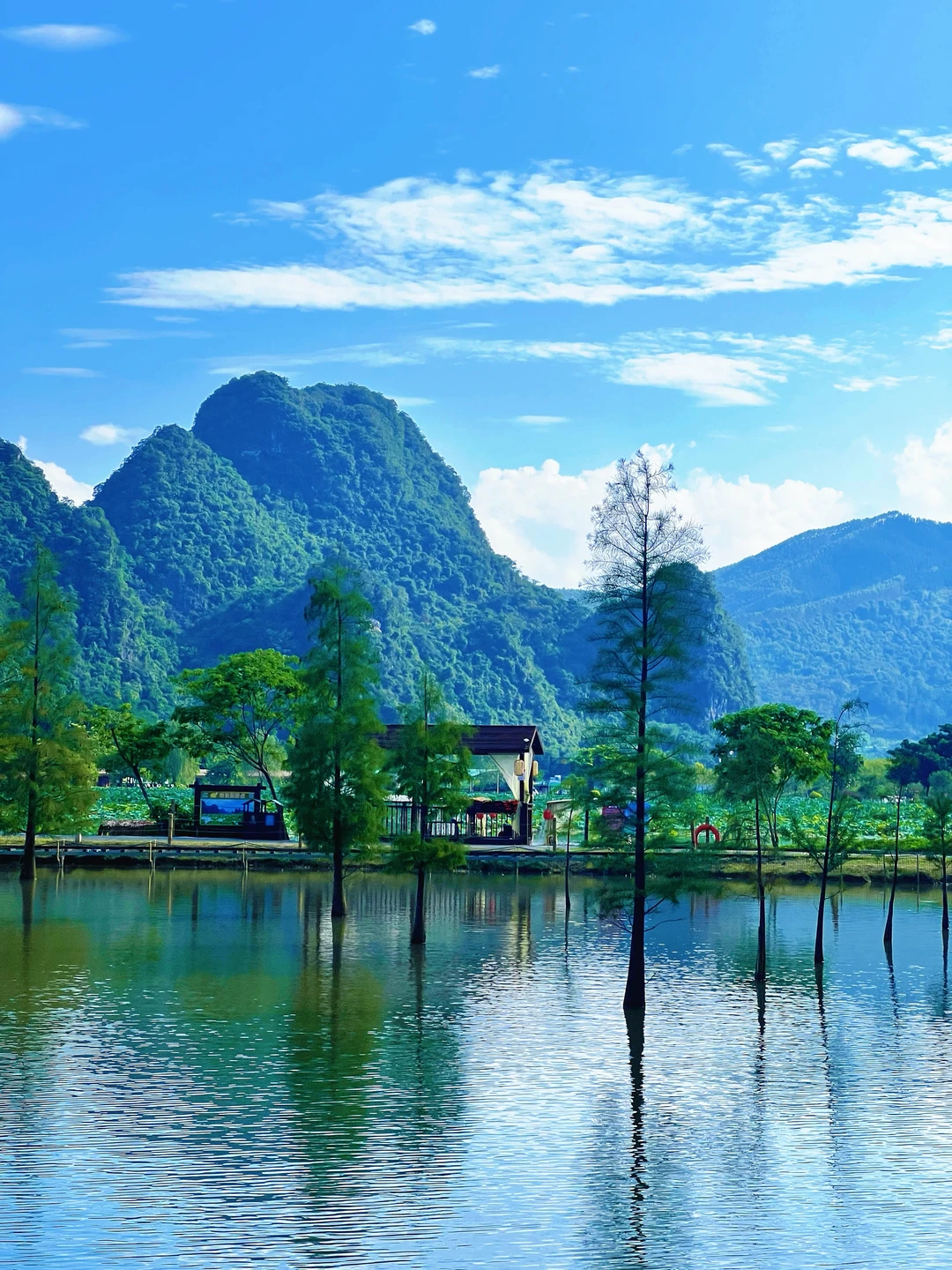 00000000rTffYiYxtSyNXAKb