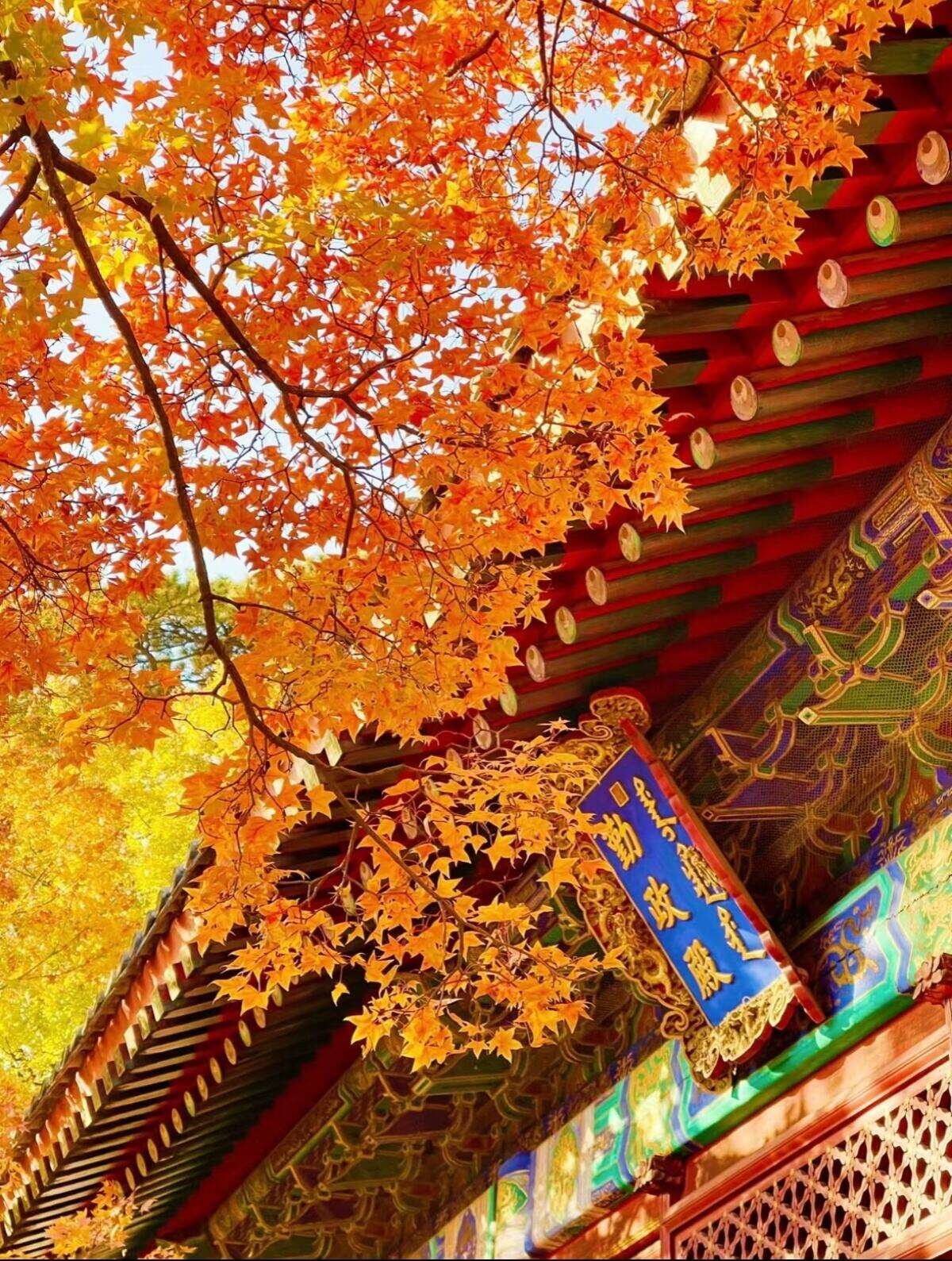 00000000rjGydGylHMIzwfxp 00000000rjGydGylHMIzwfxp