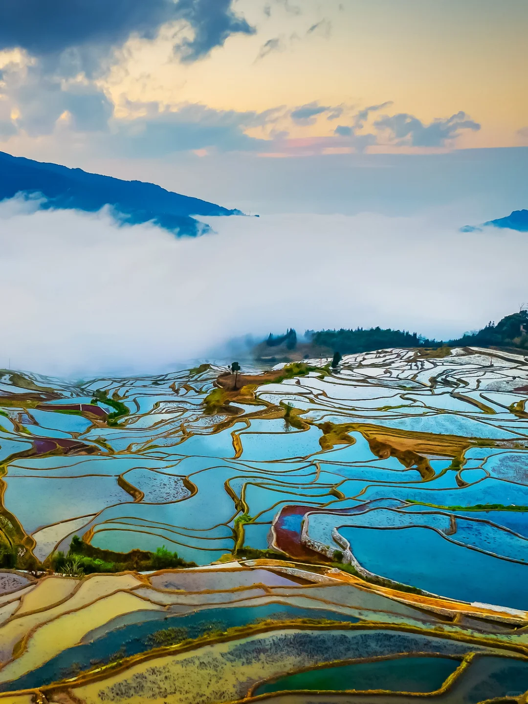 00000000rwjEjWMlGAigYxQa