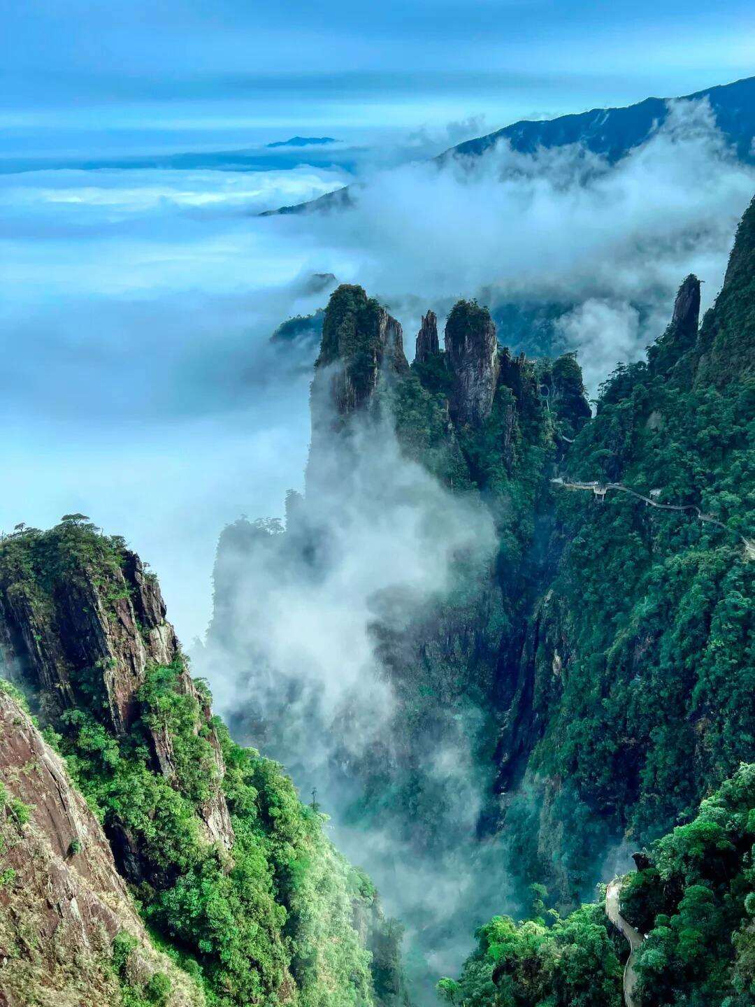 00000000sLJAKPvLjZxVHeut