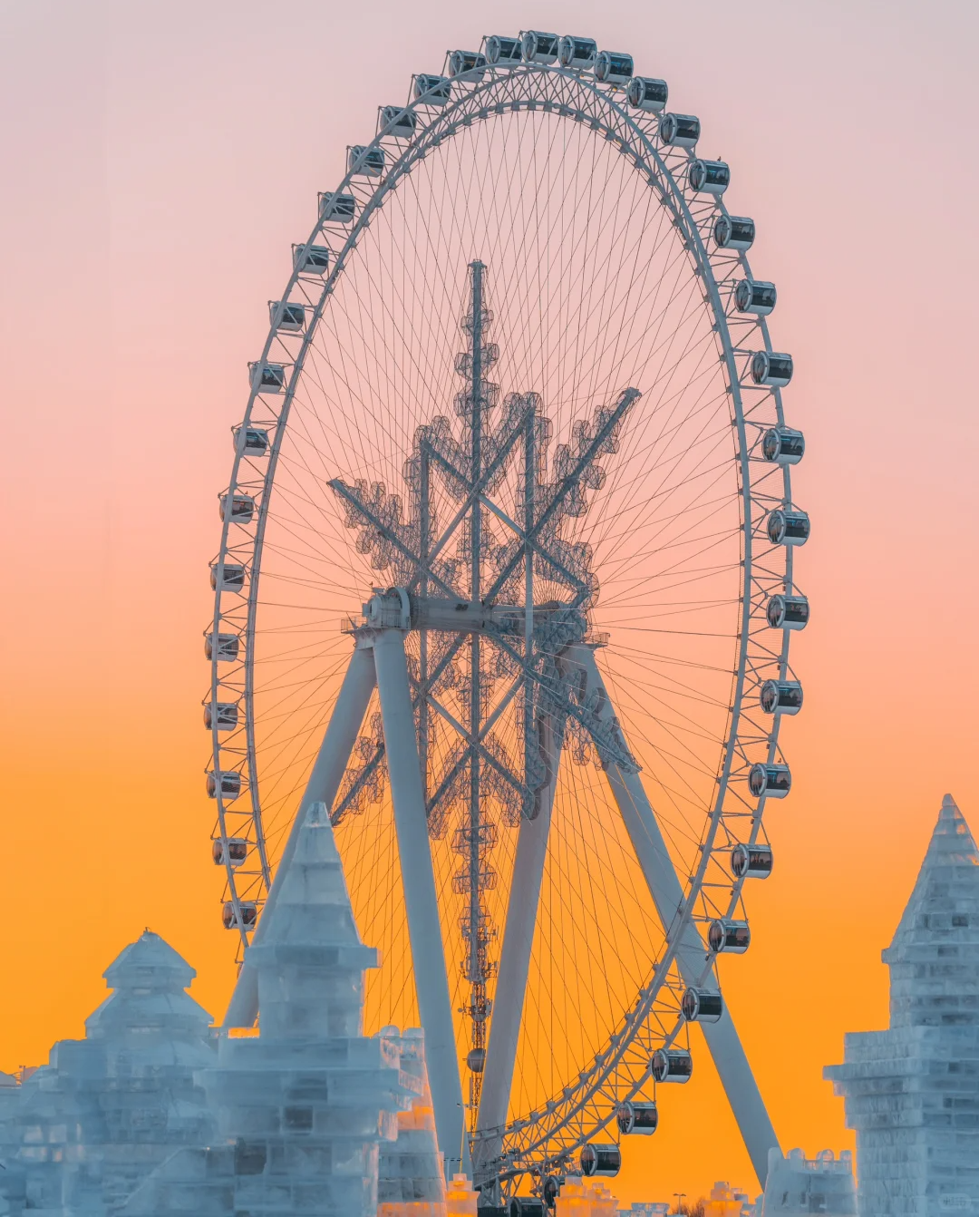 00000000sNiFBbmmGOvVxTrN