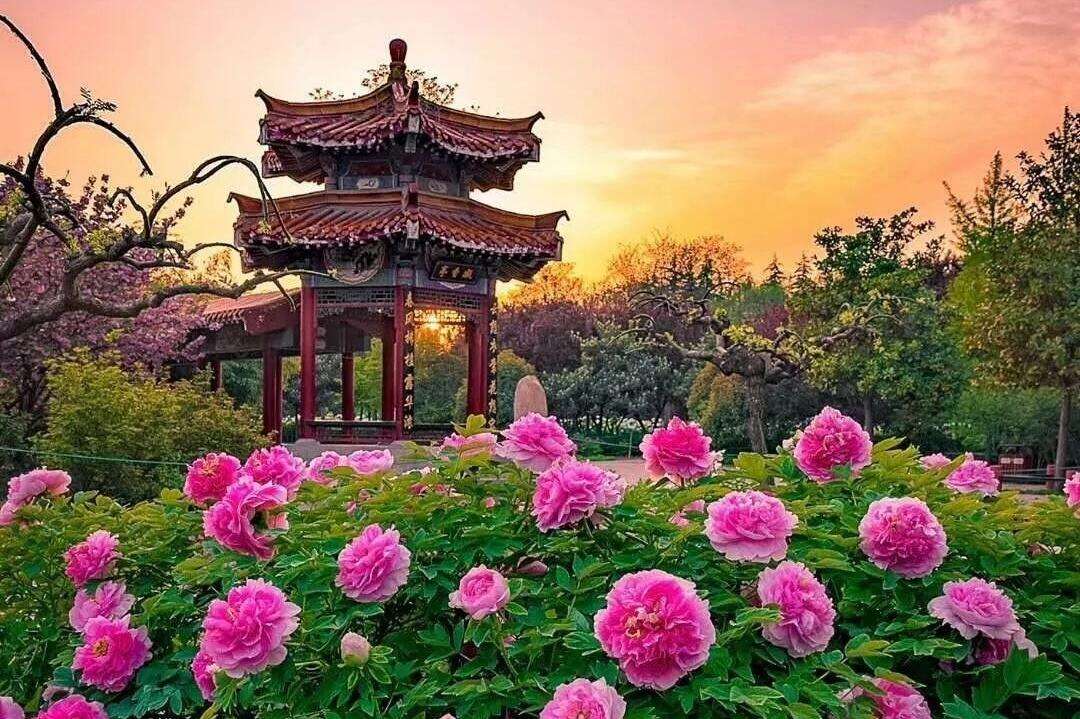 00000000saqxGvNfWjjnKWhg 00000000saqxGvNfWjjnKWhg