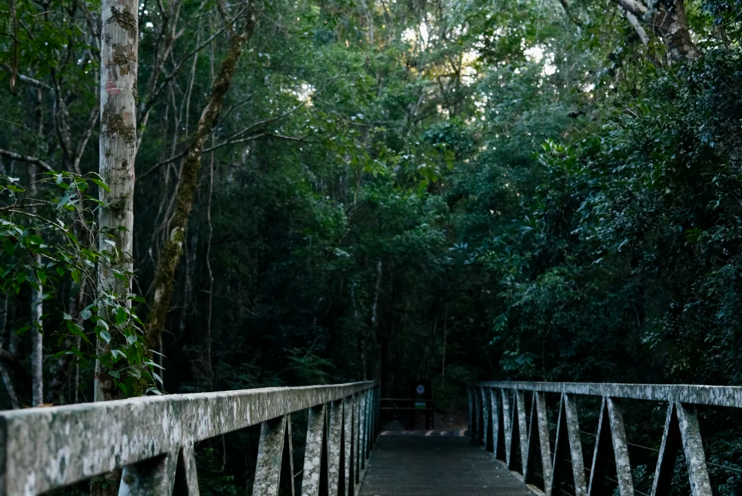 00000000sjtdEueQjdjdCyTq