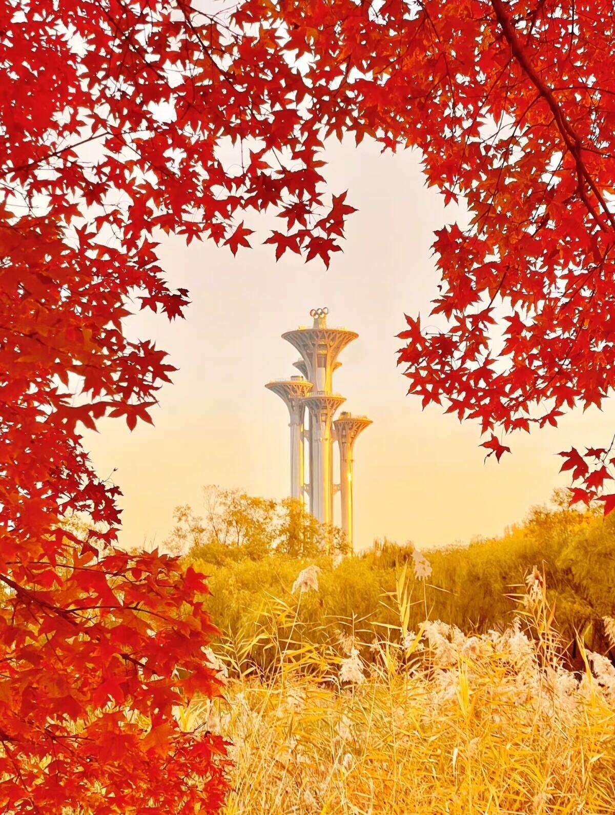 00000000tWSejrPhVOZkKfas-1