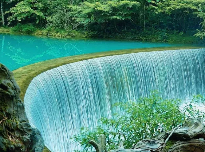 00000000tWmCnRWBJvYoiEVG